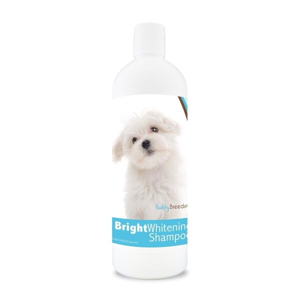 Healthy Breeds 12 oz Maltese Bright Whitening Shampoo 840235110620 - main